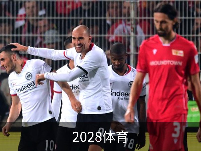 关于2028体育